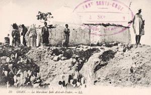 E 011- Marabout Sidi abd el kader